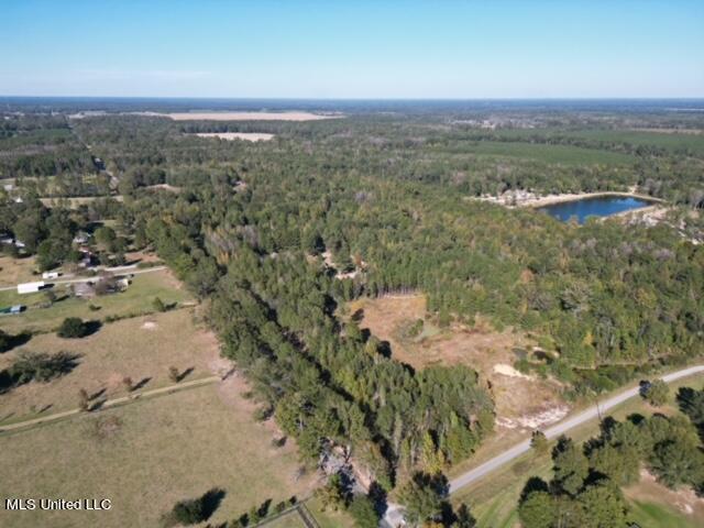 Stump Ridge Rd, Brandon, Mississippi image 3