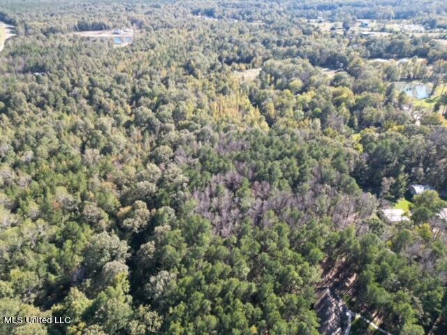 Stump Ridge Rd, Brandon, Mississippi image 5