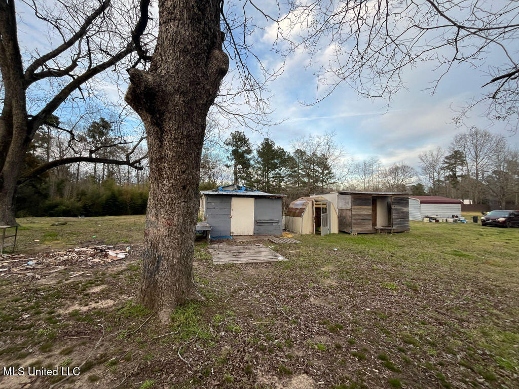 655 Lawrence Bethel Road, Newton, Mississippi image 6