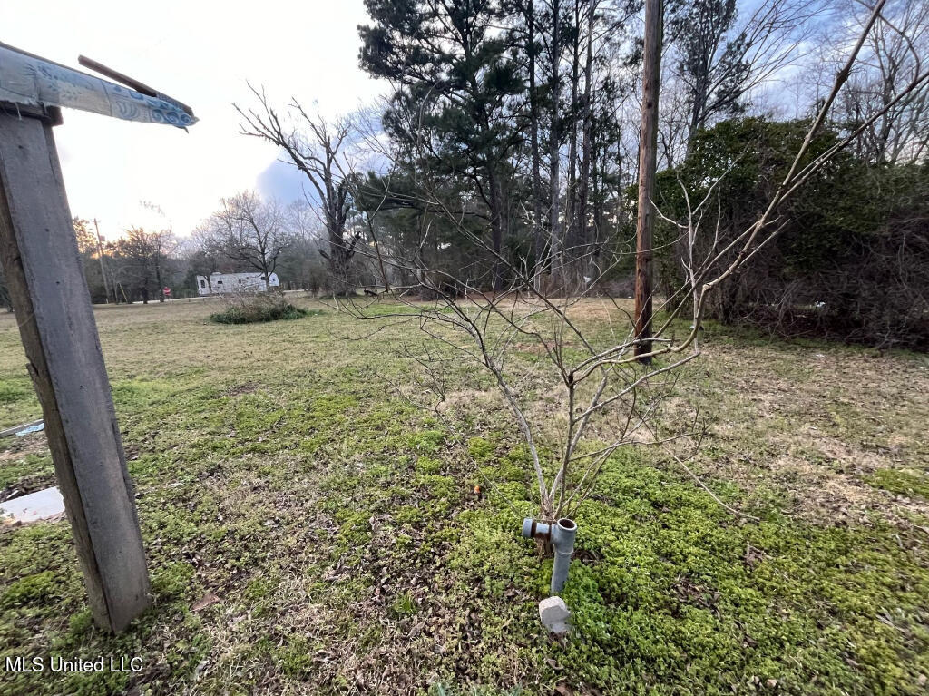 655 Lawrence Bethel Road, Newton, Mississippi image 9