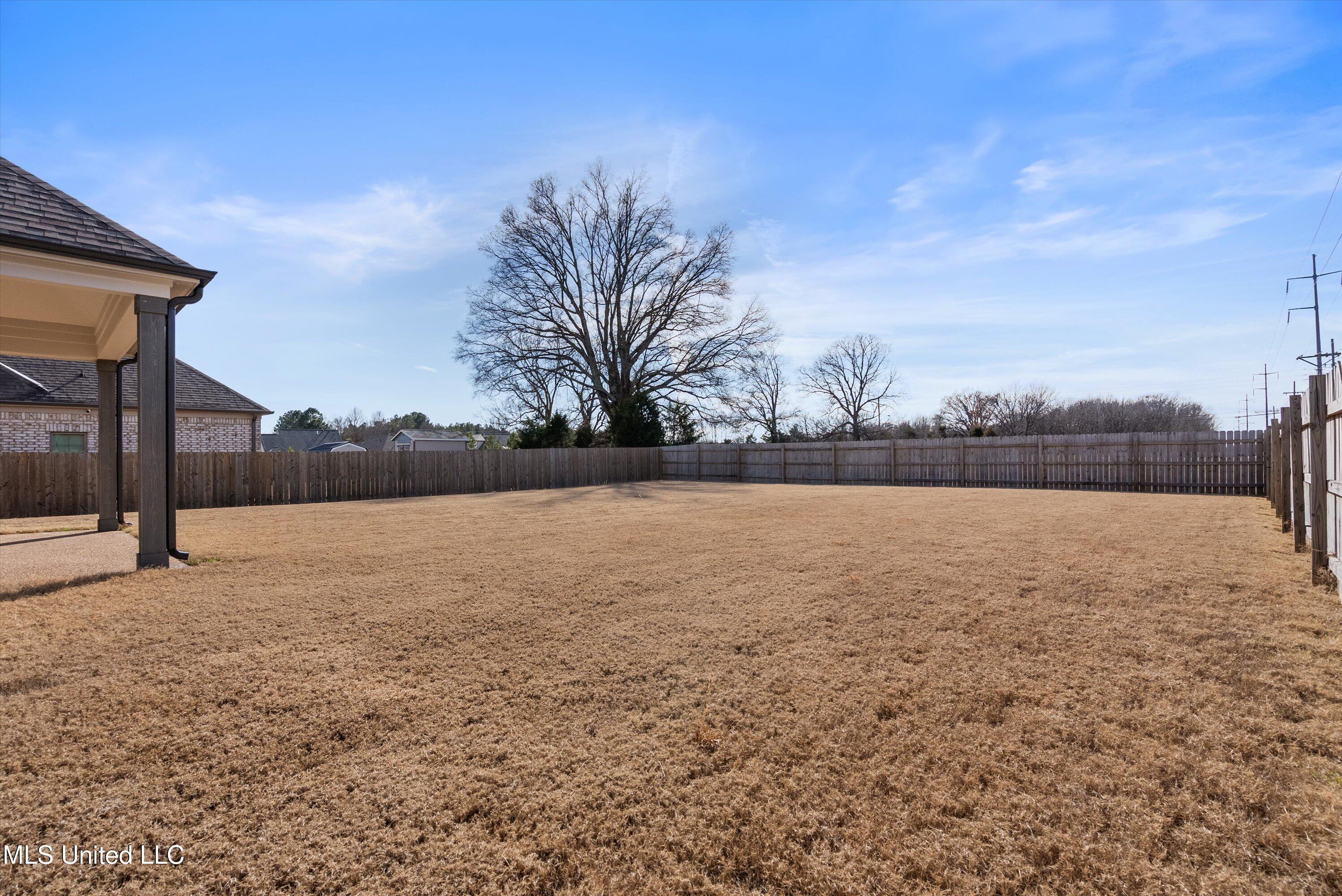 2923 Liam Lane, Nesbit, Mississippi image 37