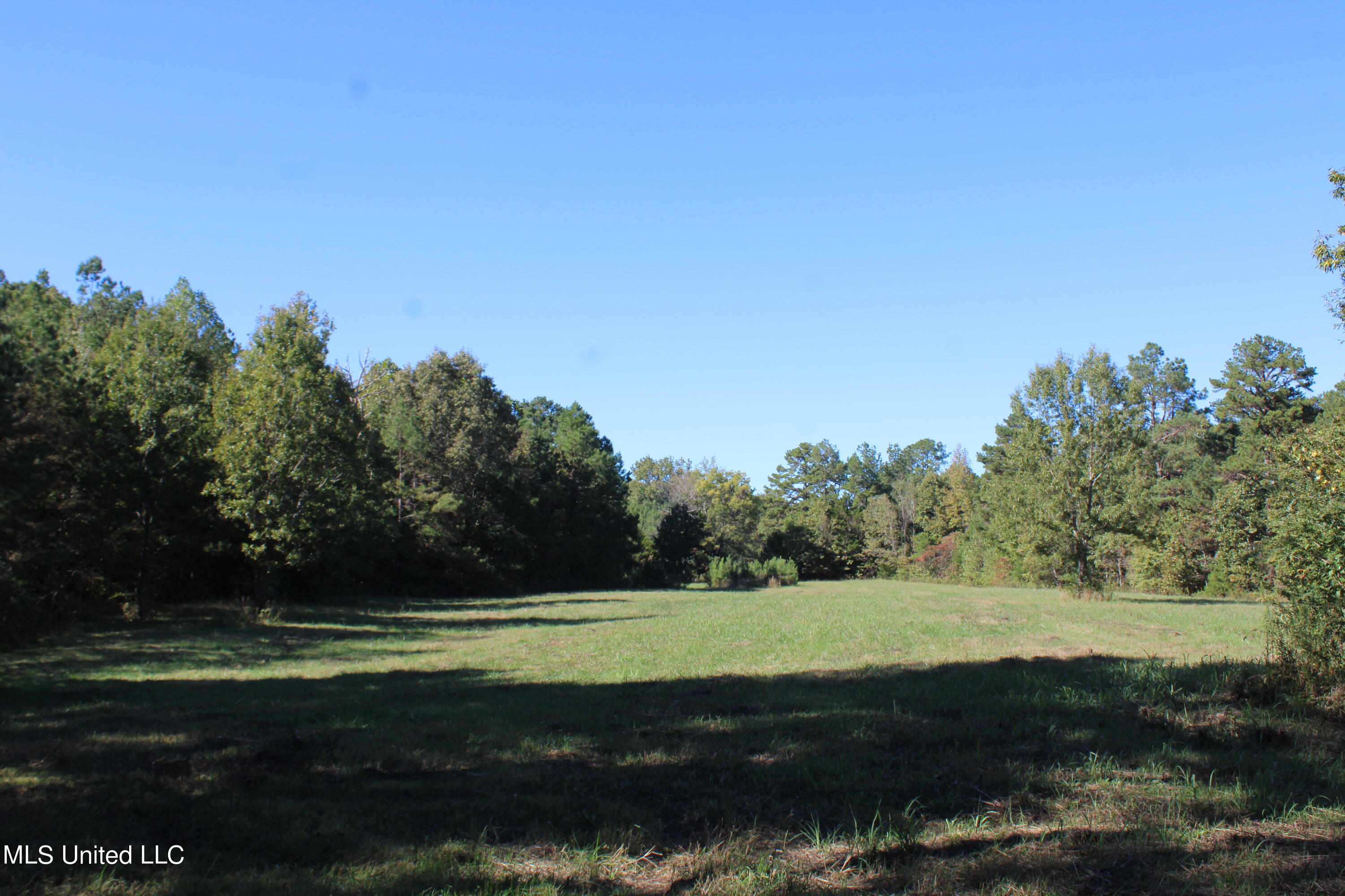 1506 Lower Gurley Road, Potts Camp, Mississippi image 19