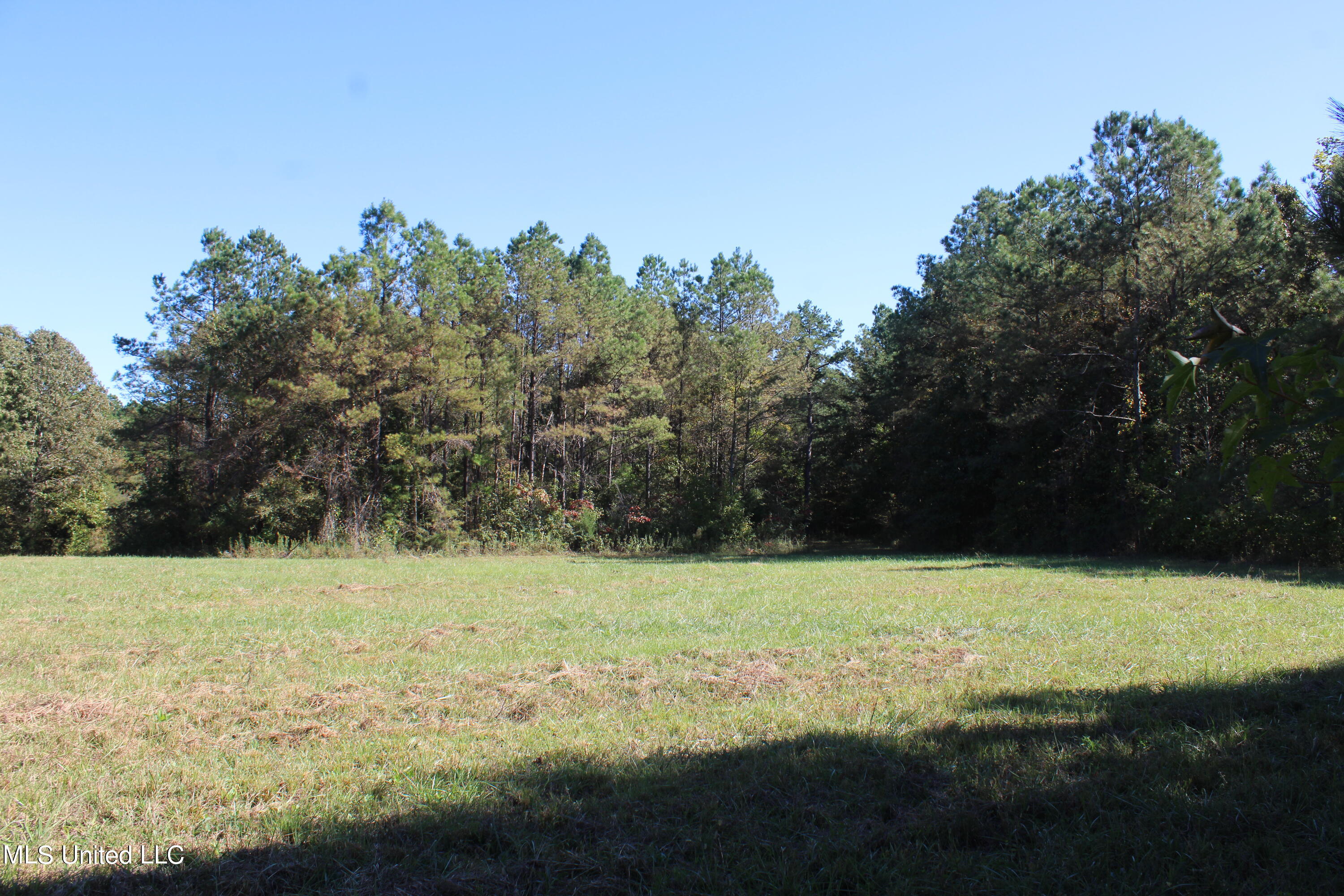 1506 Lower Gurley Road, Potts Camp, Mississippi image 9