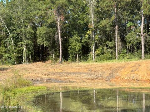 Vacant Land For Sale - Sunfish Lane<br/> George County, Lucedale, MS 39452