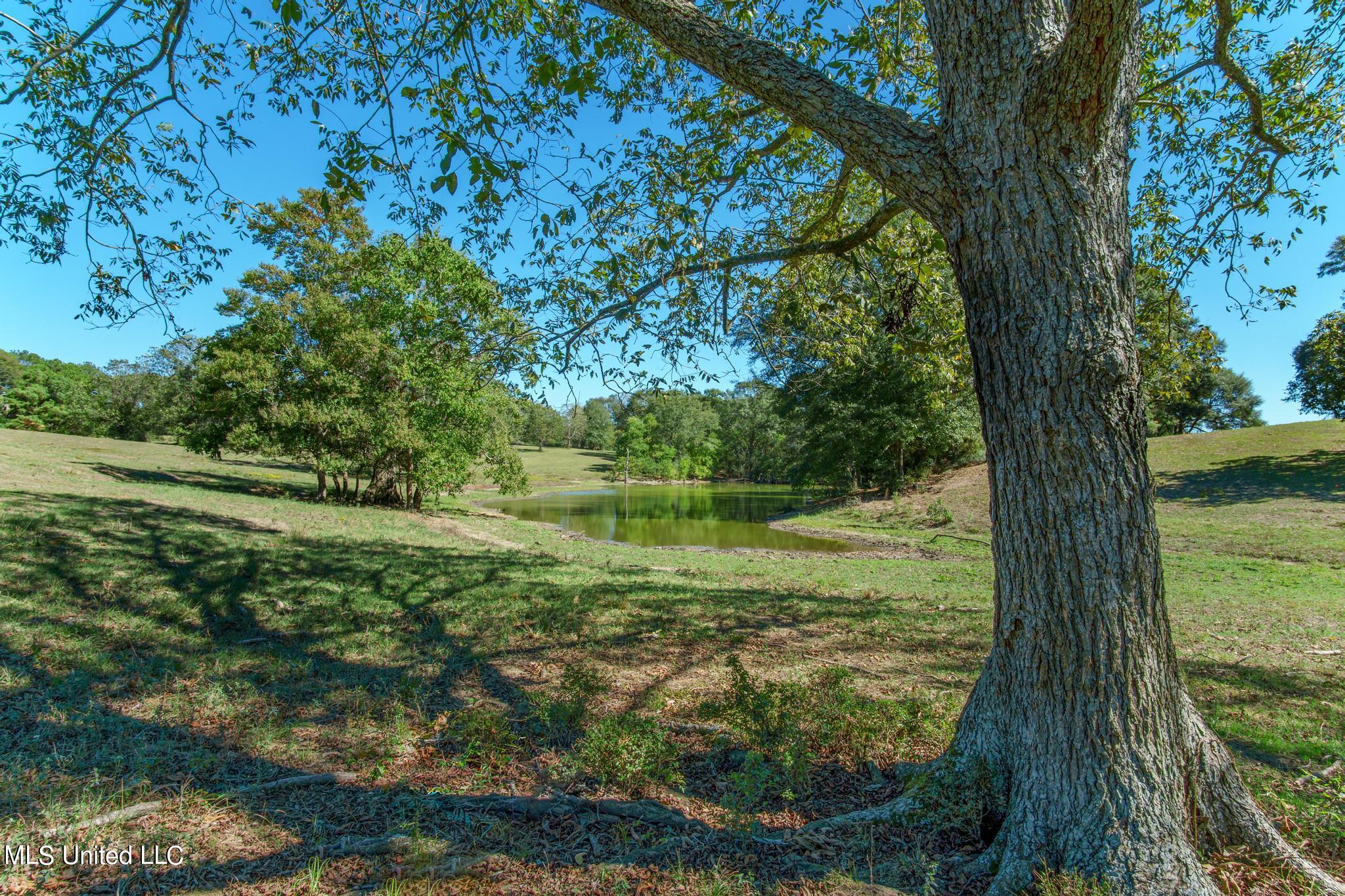 184 Tower Road, Moselle, Mississippi image 26
