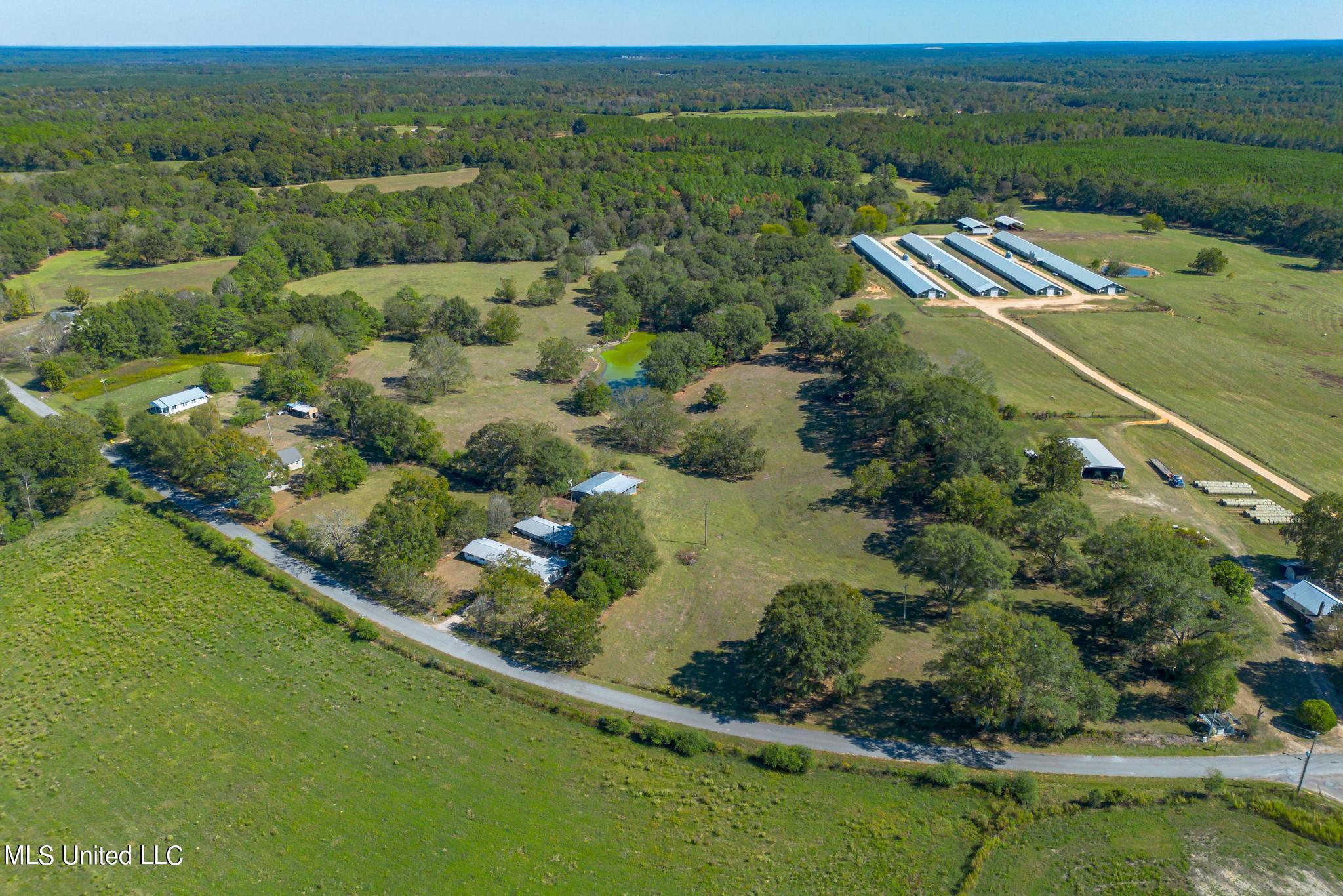 184 Tower Road, Moselle, Mississippi image 29