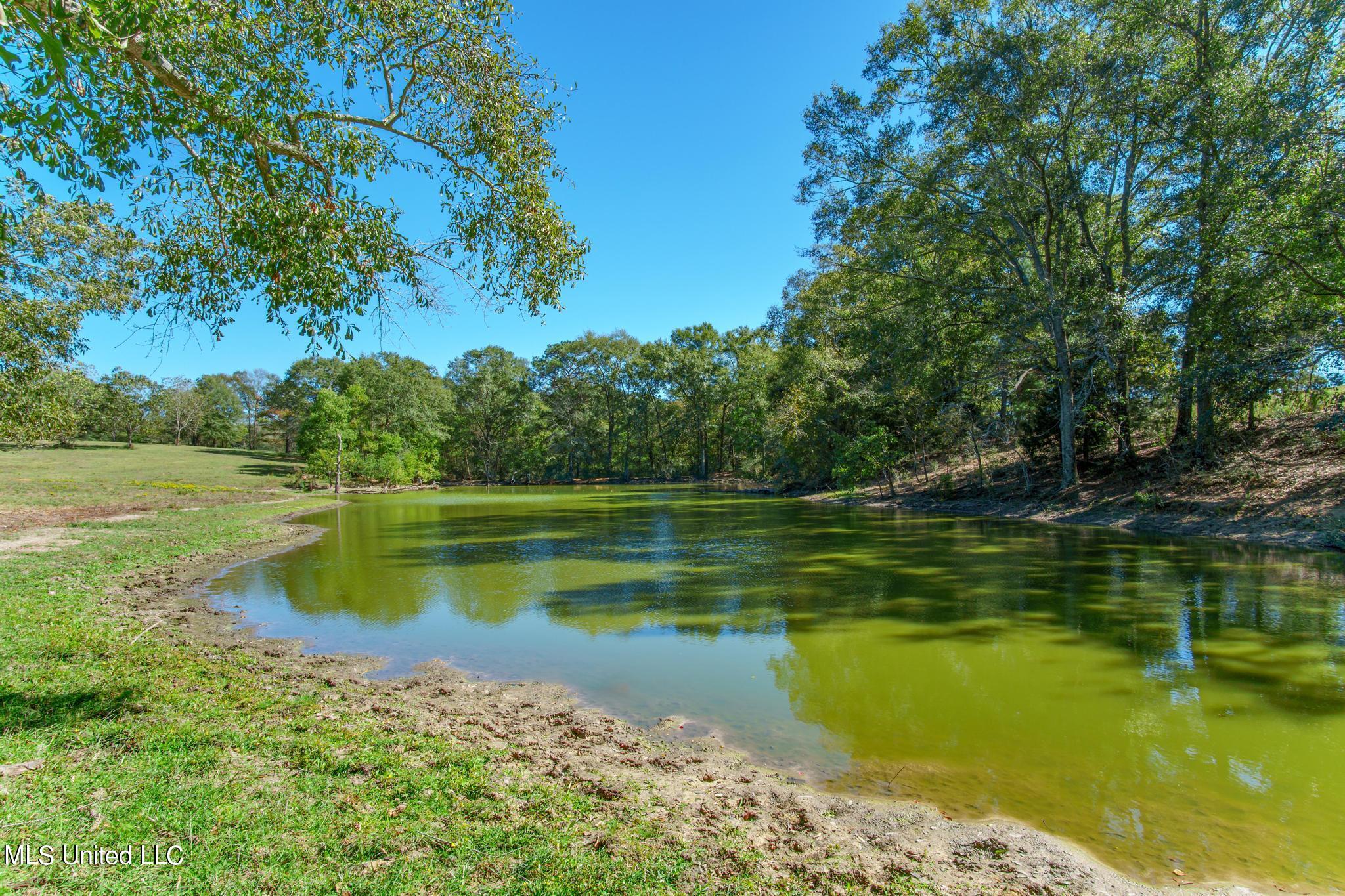 184 Tower Road, Moselle, Mississippi image 27