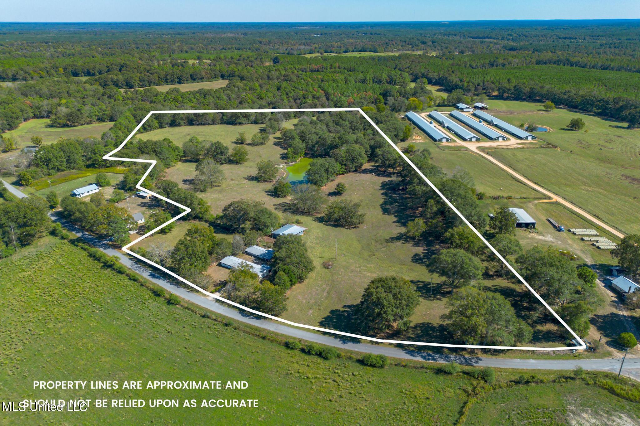 184 Tower Road, Moselle, Mississippi image 2
