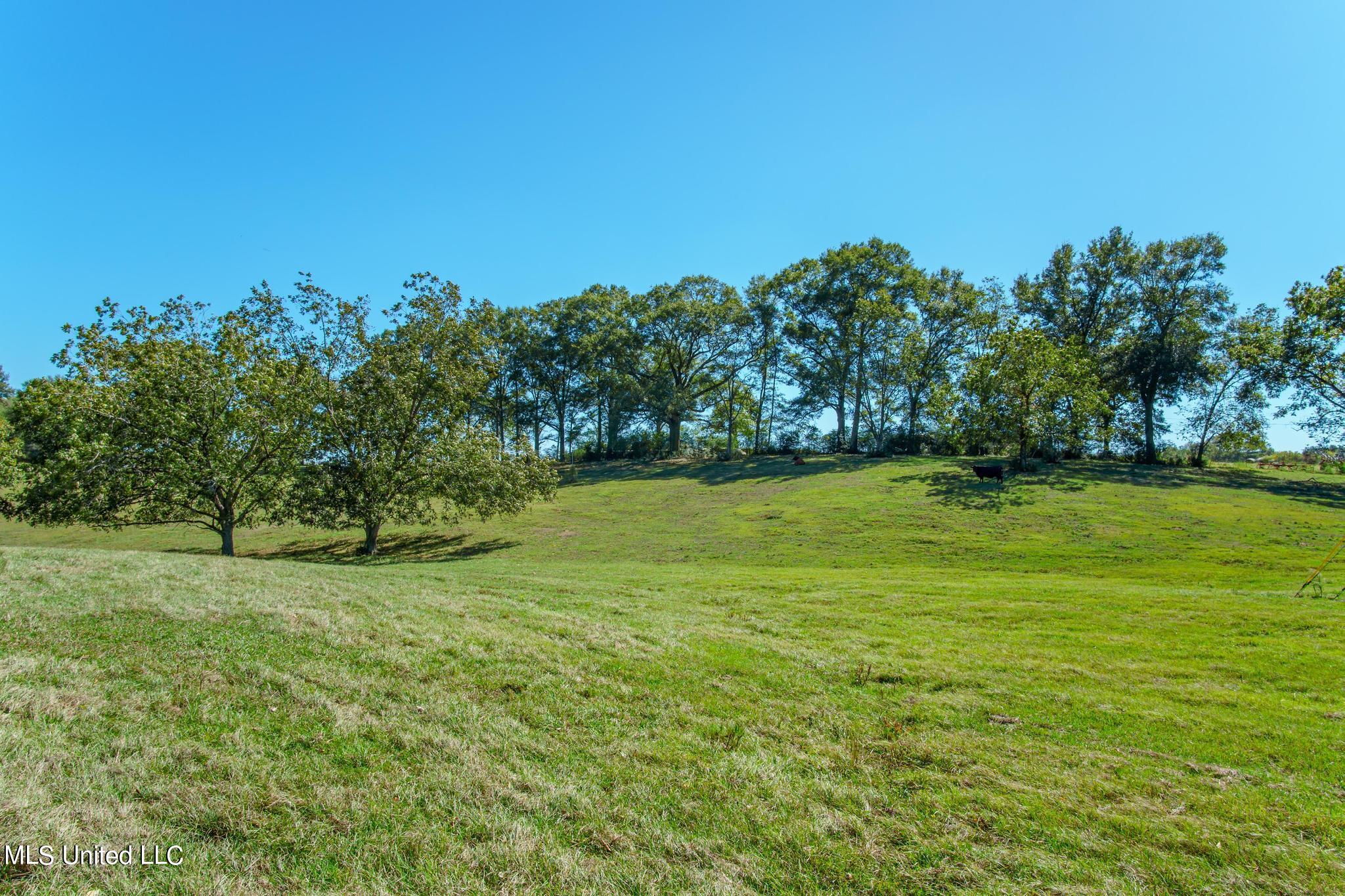 184 Tower Road, Moselle, Mississippi image 25