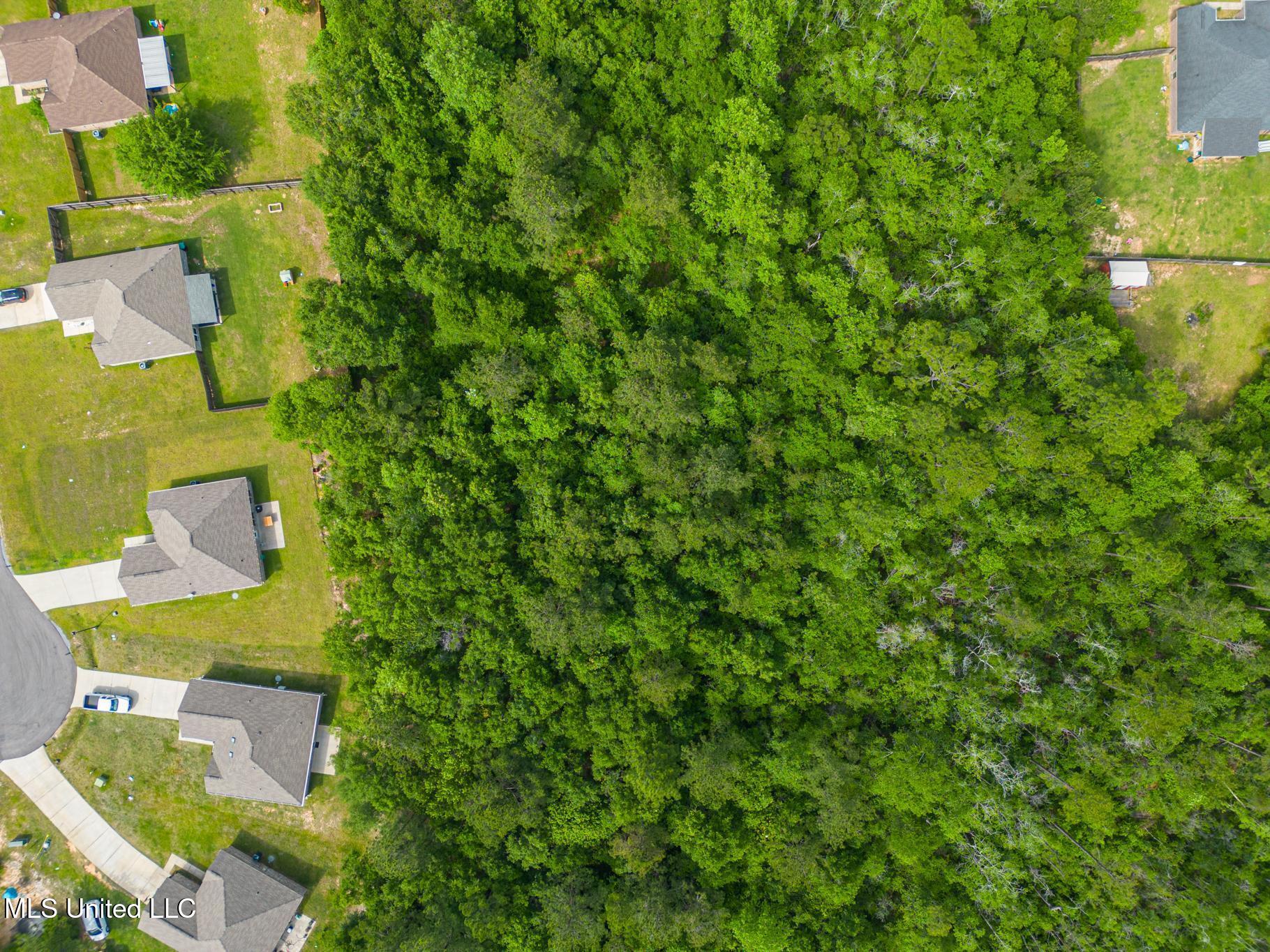 61 Summit View Drive, Perkinston, Mississippi image 25