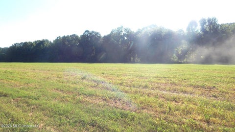 Vacant Land For Sale - 545 County Road 247<br/> Bruce, MS 38915