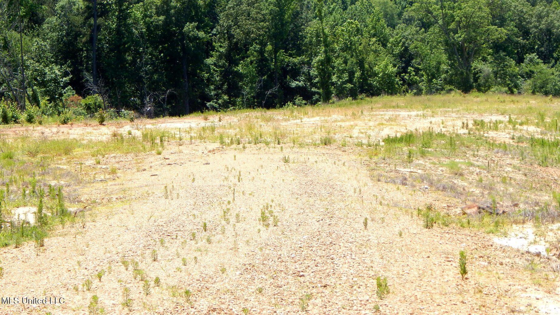 806 Hugh White State Park Road, Grenada, Mississippi image 2