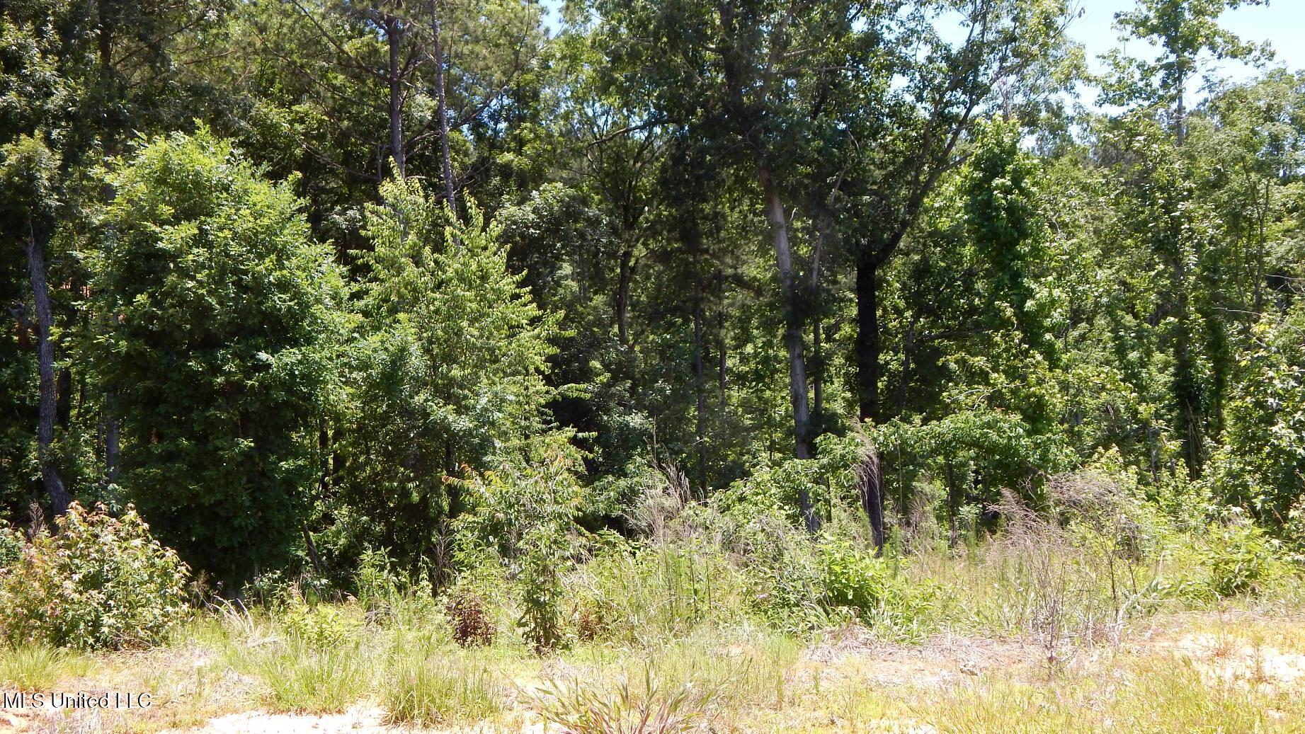 806 Hugh White State Park Road, Grenada, Mississippi image 3