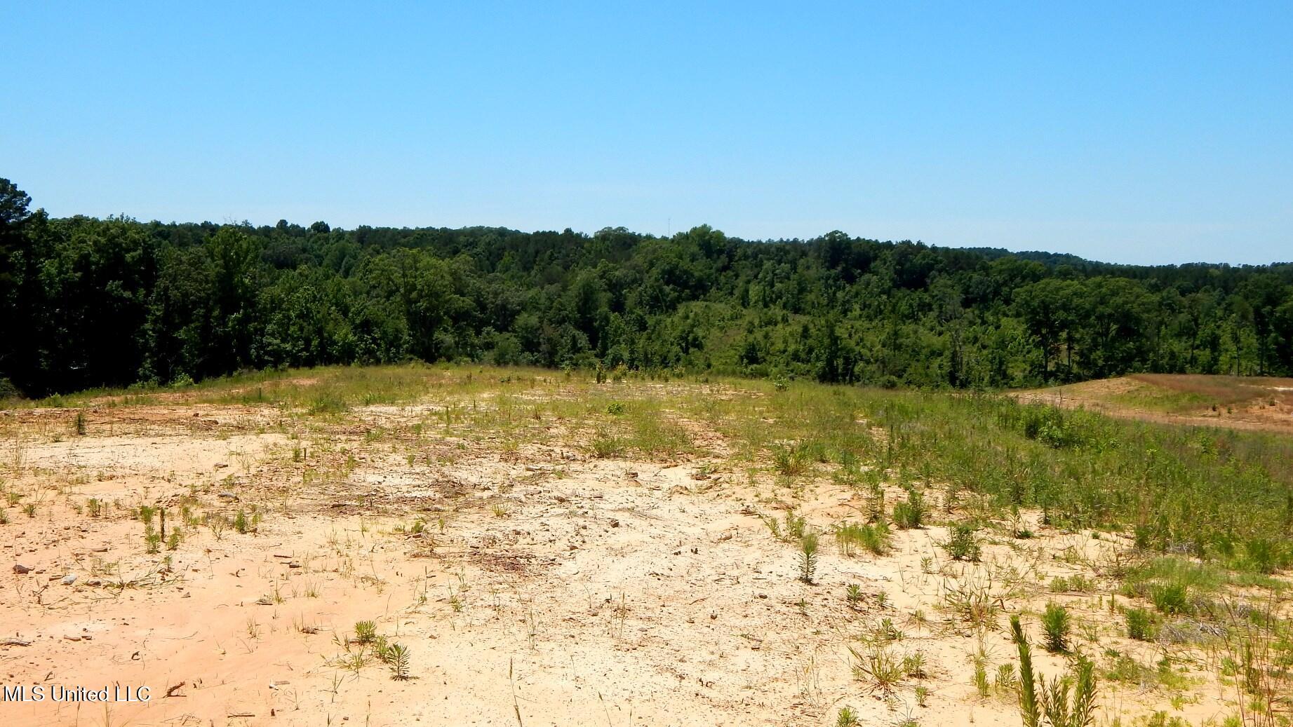 806 Hugh White State Park Road, Grenada, Mississippi image 1