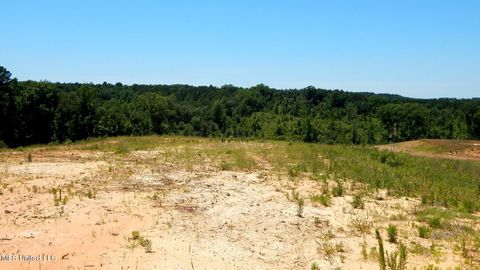 Vacant Land For Sale - 806 Hugh White State Park Road<br/> Grenada, MS 38901