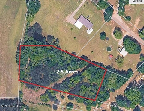 Vacant Land For Sale - S Of Derby Road<br/> Poplarville, MS 39470