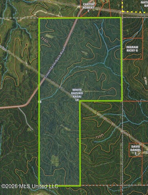 Vacant Land For Sale - Crown Zellerback Road<br/> Lumberton, MS 39455