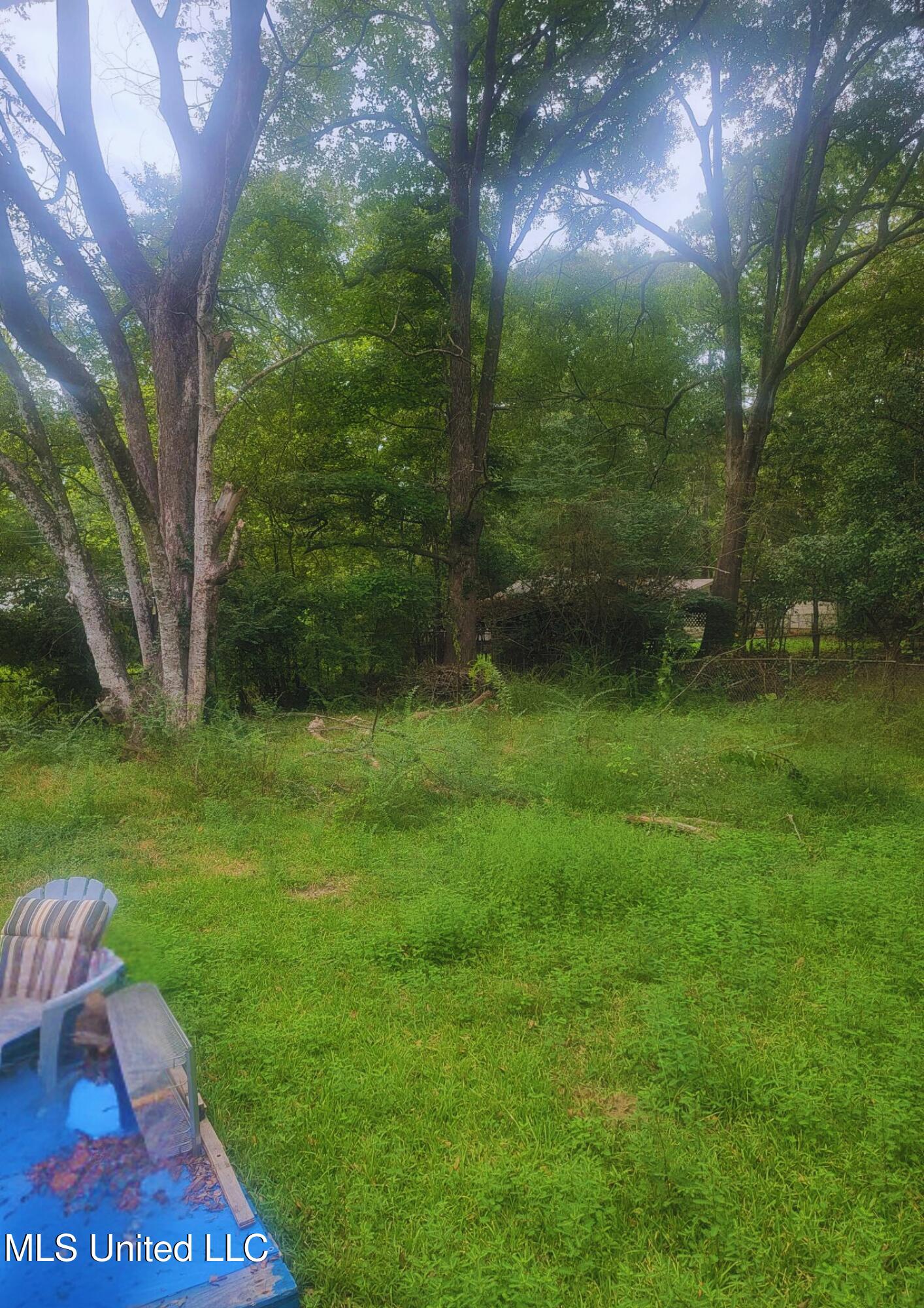 3215 Charleston Drive, Jackson, Mississippi image 7
