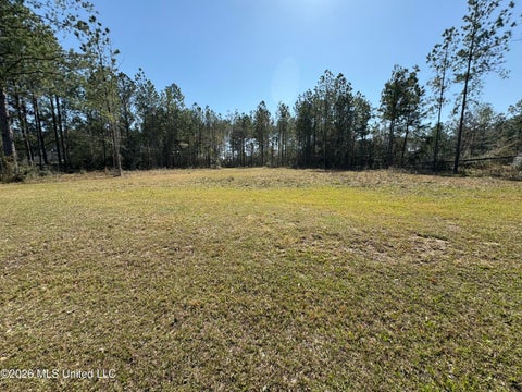 Vacant Land For Sale - Lot 13 Tobee Road<br/> Saucier, MS 39574