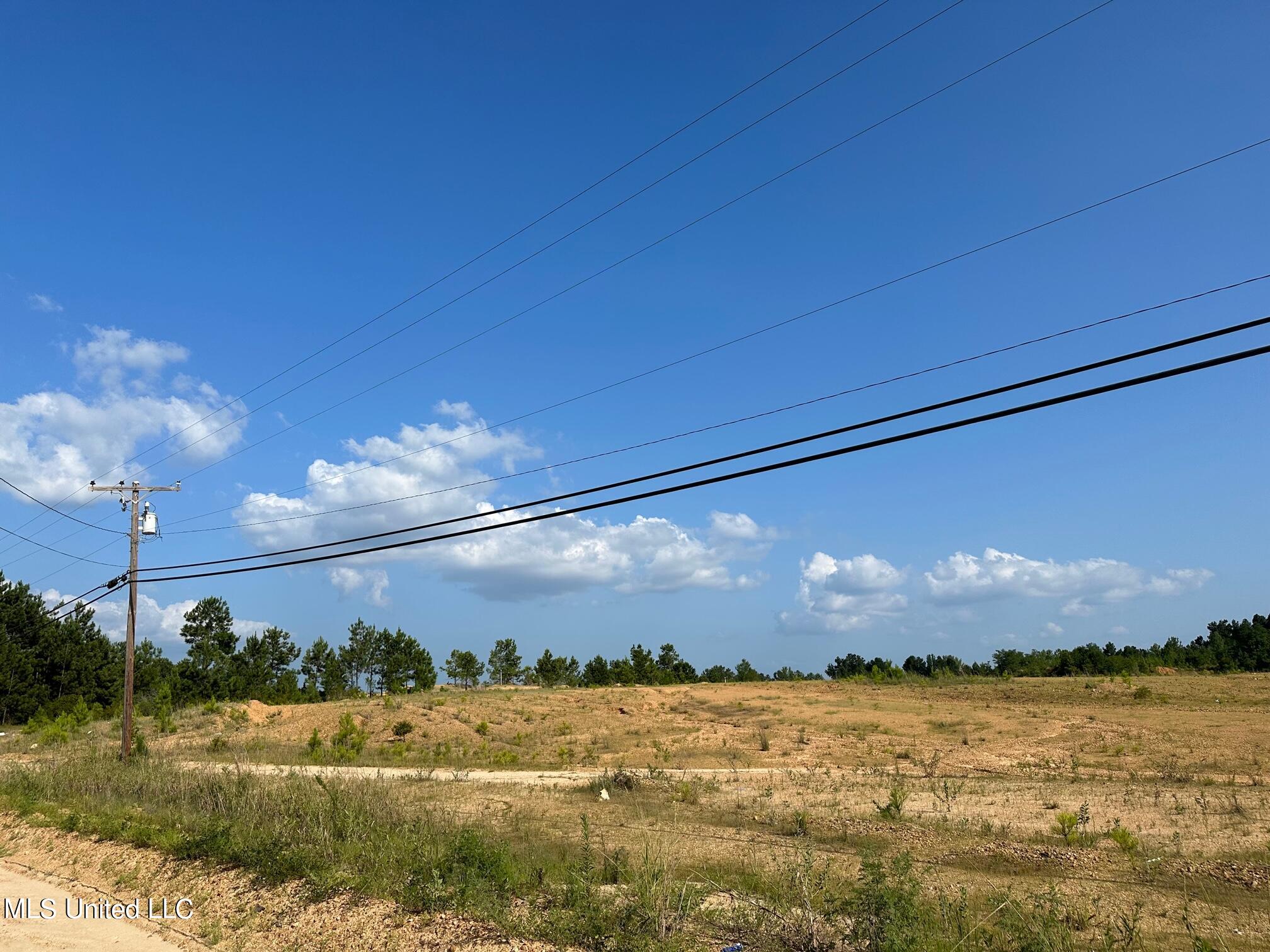 Coors Springs Rd., Crystal Springs, Mississippi image 3