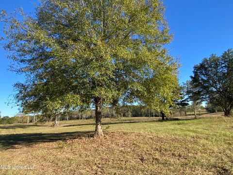 Vacant Land For Sale - Carey Byrd Road<br/> Carriere, MS 39426