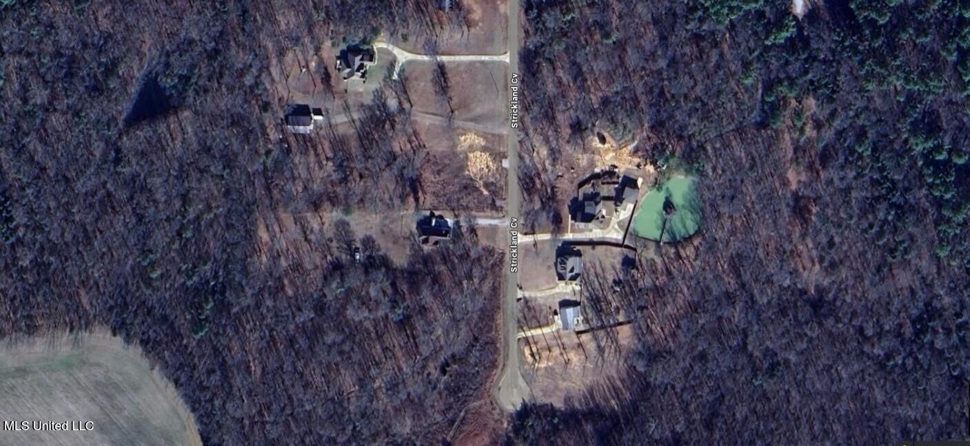 Lot 16 Strickland Farms, Byhalia, Mississippi image 2