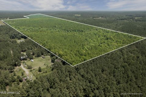 Vacant Land For Sale - 293 Acres Scruggs Road<br/> Lamar County, Sumrall, MS 39482