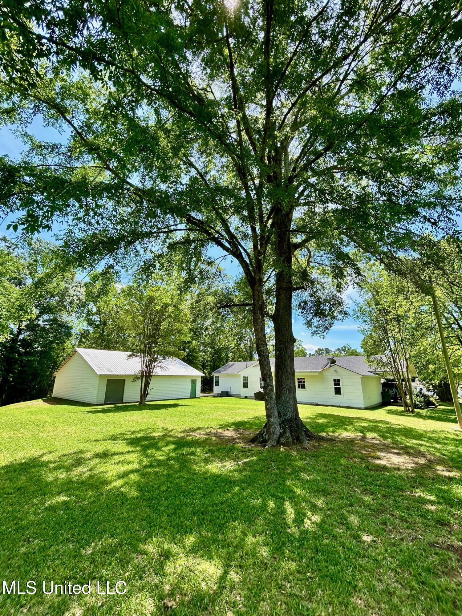 308 College Street, Carthage, Mississippi image 9