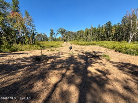 Vacant Land For Sale - Shrock Road<br/> Madison County, Camden, MS 39045