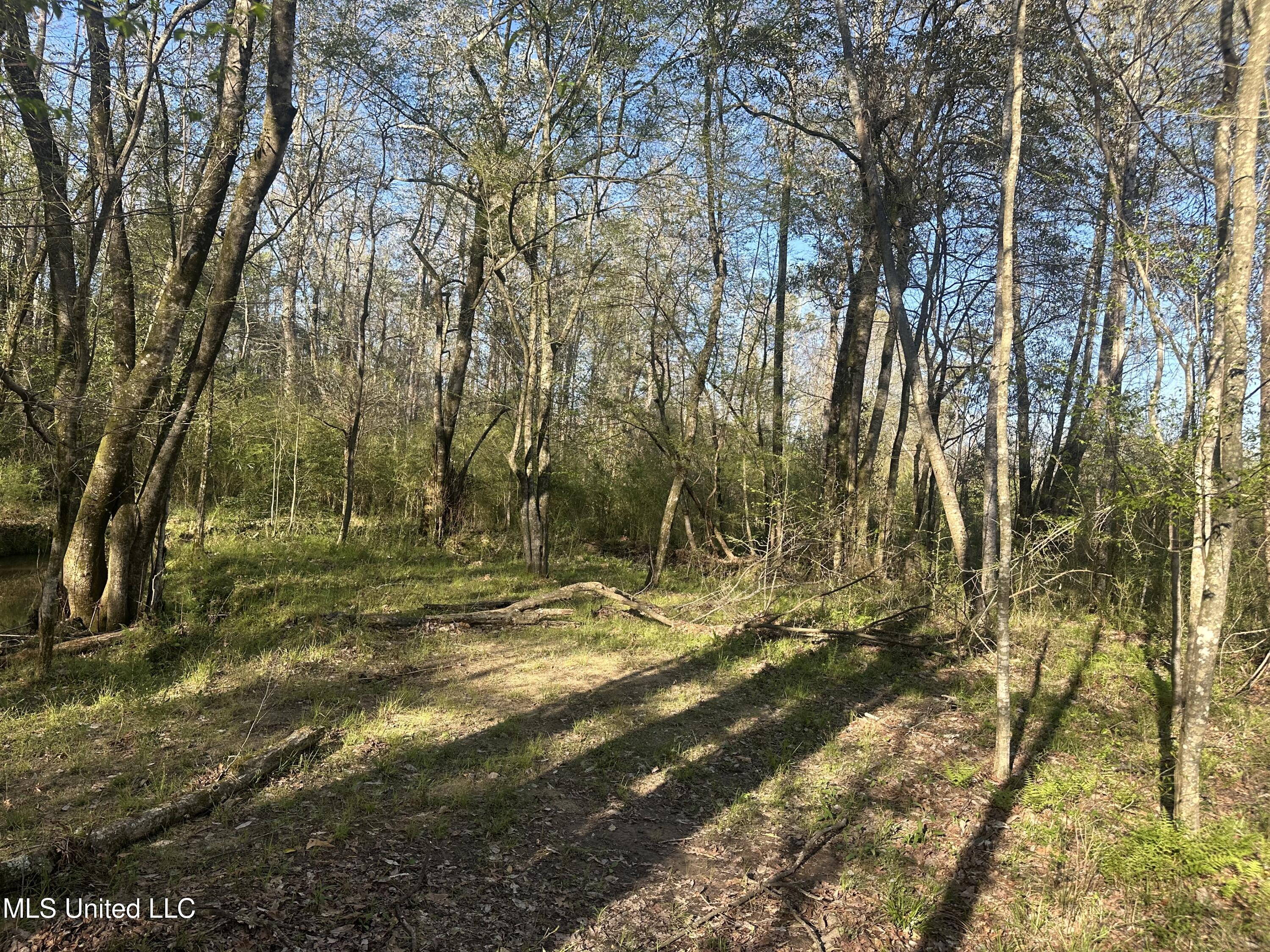 1057 Wesson Game Ln Lane, Wesson, Mississippi image 3