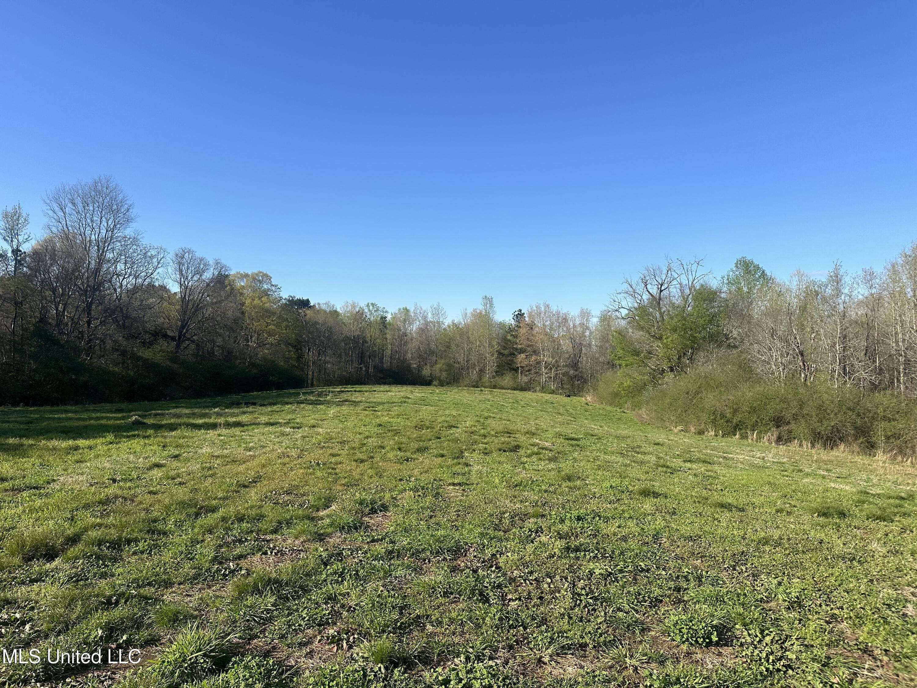 1057 Wesson Game Ln Lane, Wesson, Mississippi image 2