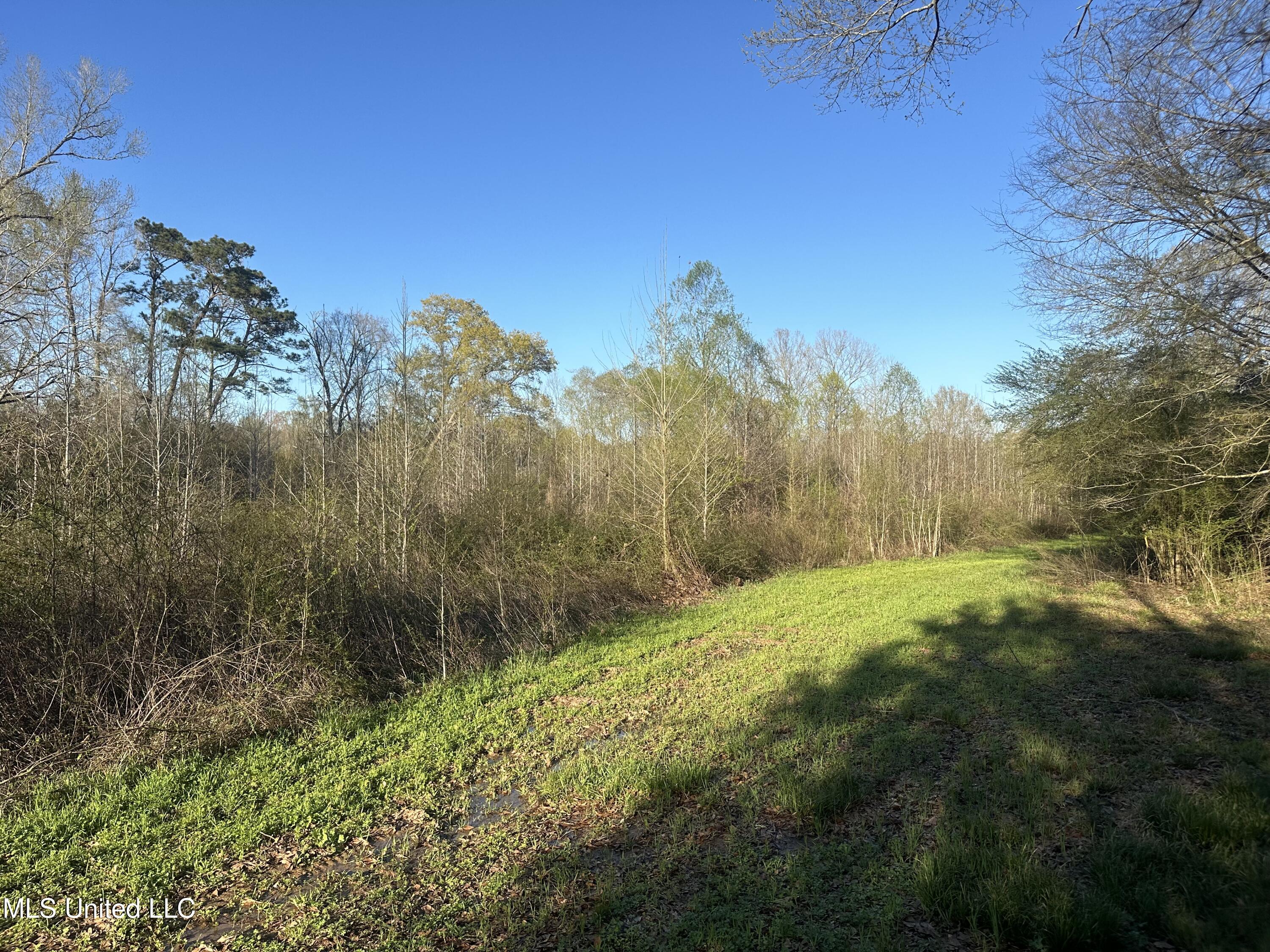 1057 Wesson Game Ln Lane, Wesson, Mississippi image 12