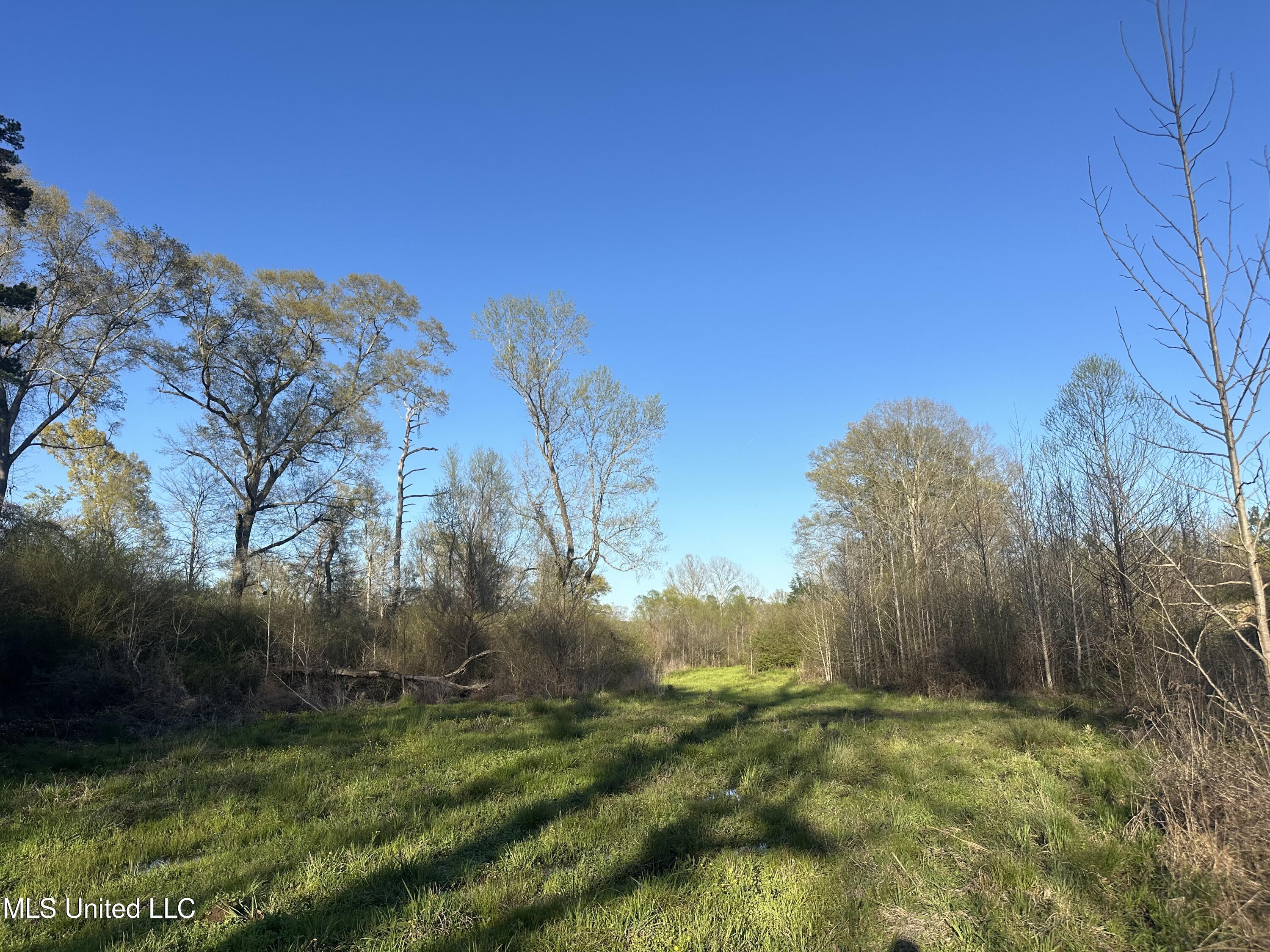 1057 Wesson Game Ln Lane, Wesson, Mississippi image 11