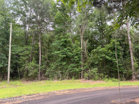 Vacant Land For Sale - Claudette Ln<br/> Pike County, McComb, MS 39648