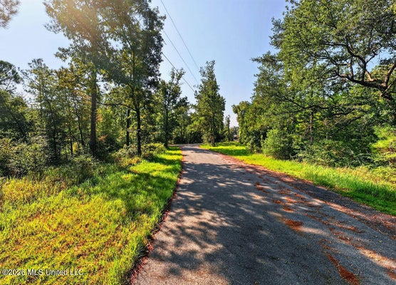 17 +/- AC BURNIS HAVARD ROAD, PERKINSTON, MS 39573 - Image f7ec1abbd2e0d3f2287da188b9573b0d/3311652157