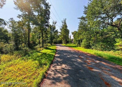 Vacant Land For Sale - 17 +/- AC Burnis Havard Road<br/> Perkinston, MS 39573