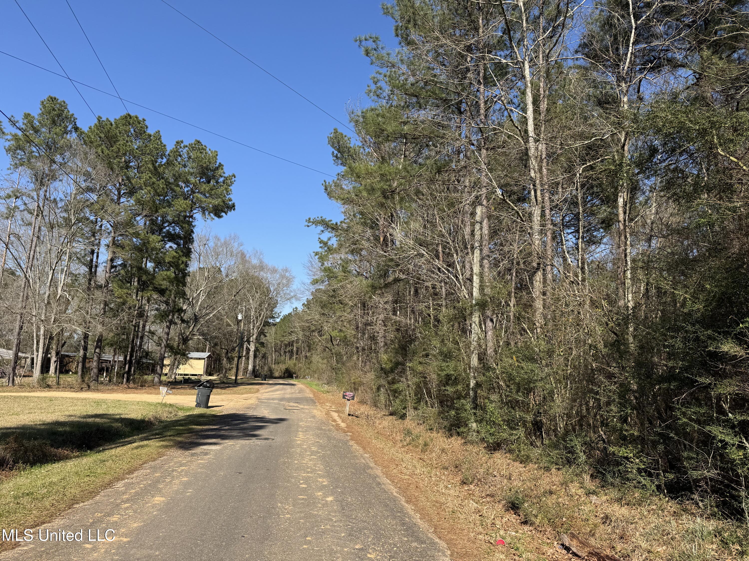 1185 Archie Boyd Road, Jayess, Mississippi image 13