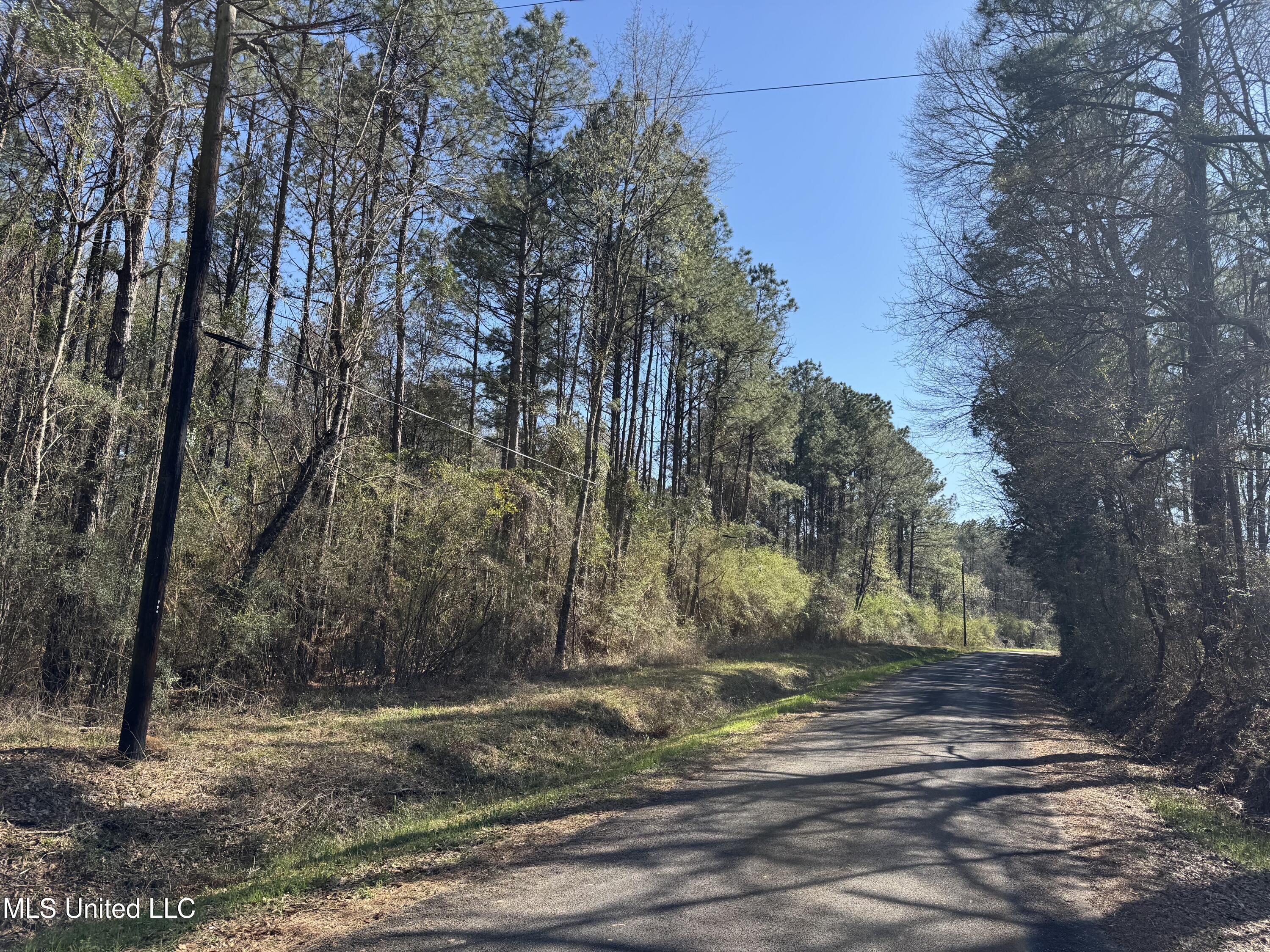 1185 Archie Boyd Road, Jayess, Mississippi image 1