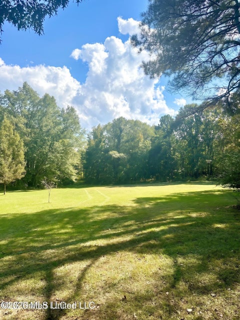 Vacant Land For Sale - 4811 Holcomb-sweethome Road<br/> Holcomb, MS 38940