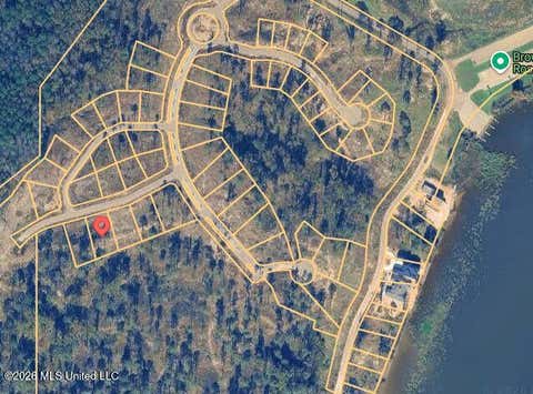 Vacant Land For Sale - 107 Venus Drive<br/> Madison County, Canton, MS 39046
