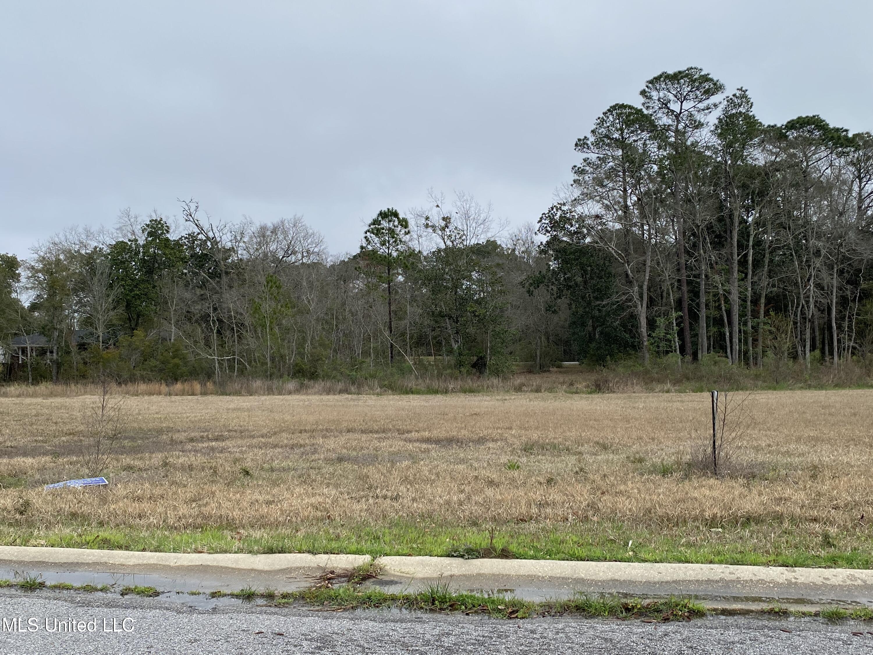 Waterview Way, Gautier, Mississippi image 2