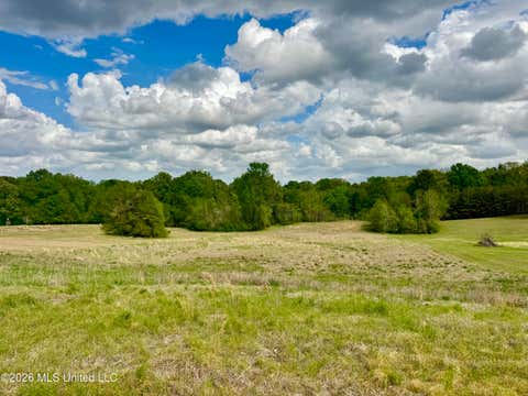 Vacant Land For Sale - 000001 Meadow Oak Lane<br/> Clinton, MS 39056