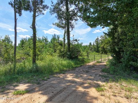 Vacant Land For Sale - 3.0+/- Highway 11<br/> Forrest County, Petal, MS 39465