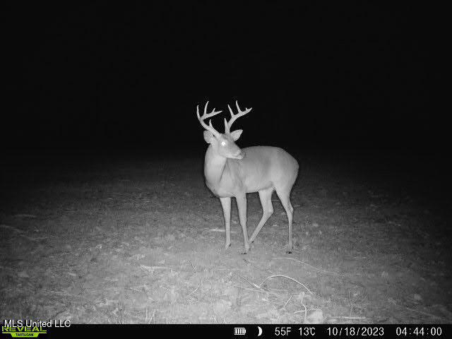 6510 Coxs Ferry Road, Bolton, Mississippi image 38