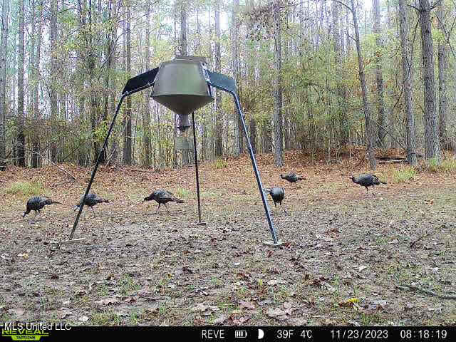 6510 Coxs Ferry Road, Bolton, Mississippi image 50