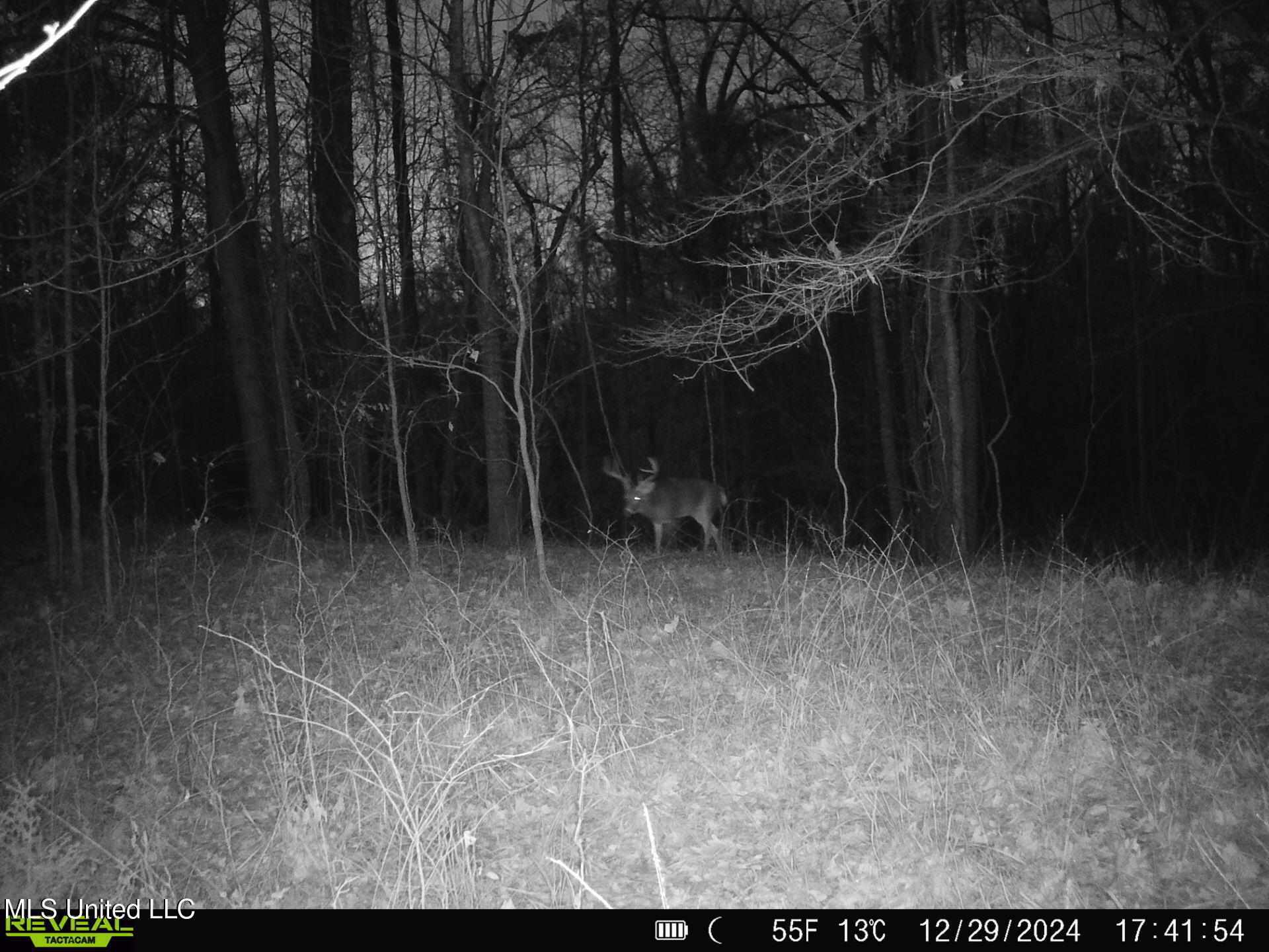 6510 Coxs Ferry Road, Bolton, Mississippi image 27