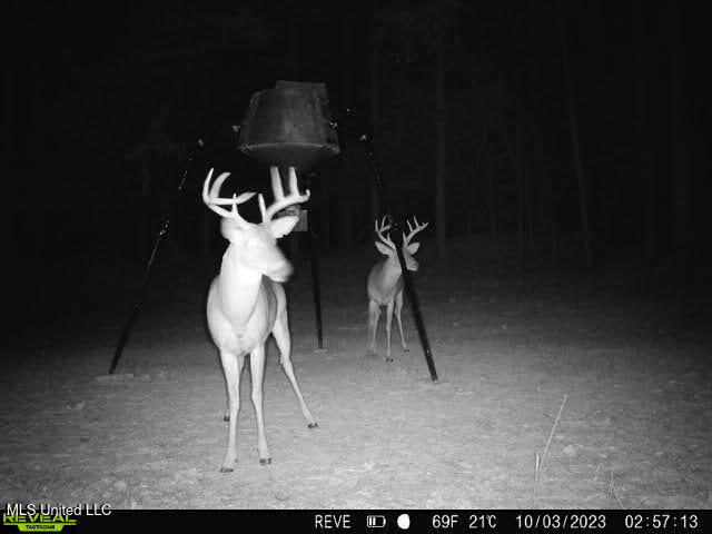 6510 Coxs Ferry Road, Bolton, Mississippi image 43