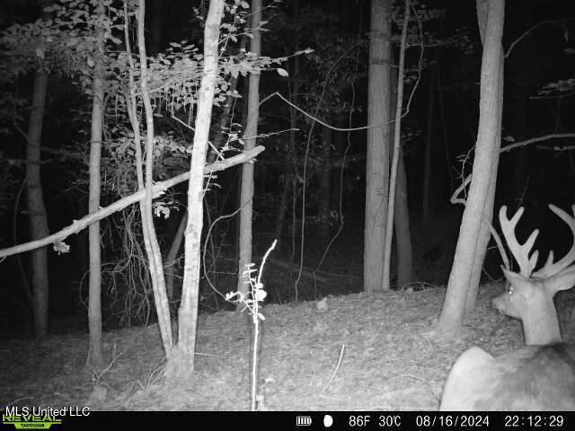 6510 Coxs Ferry Road, Bolton, Mississippi image 29