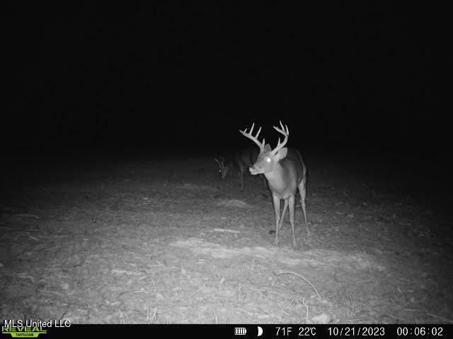 6510 Coxs Ferry Road, Bolton, Mississippi image 30