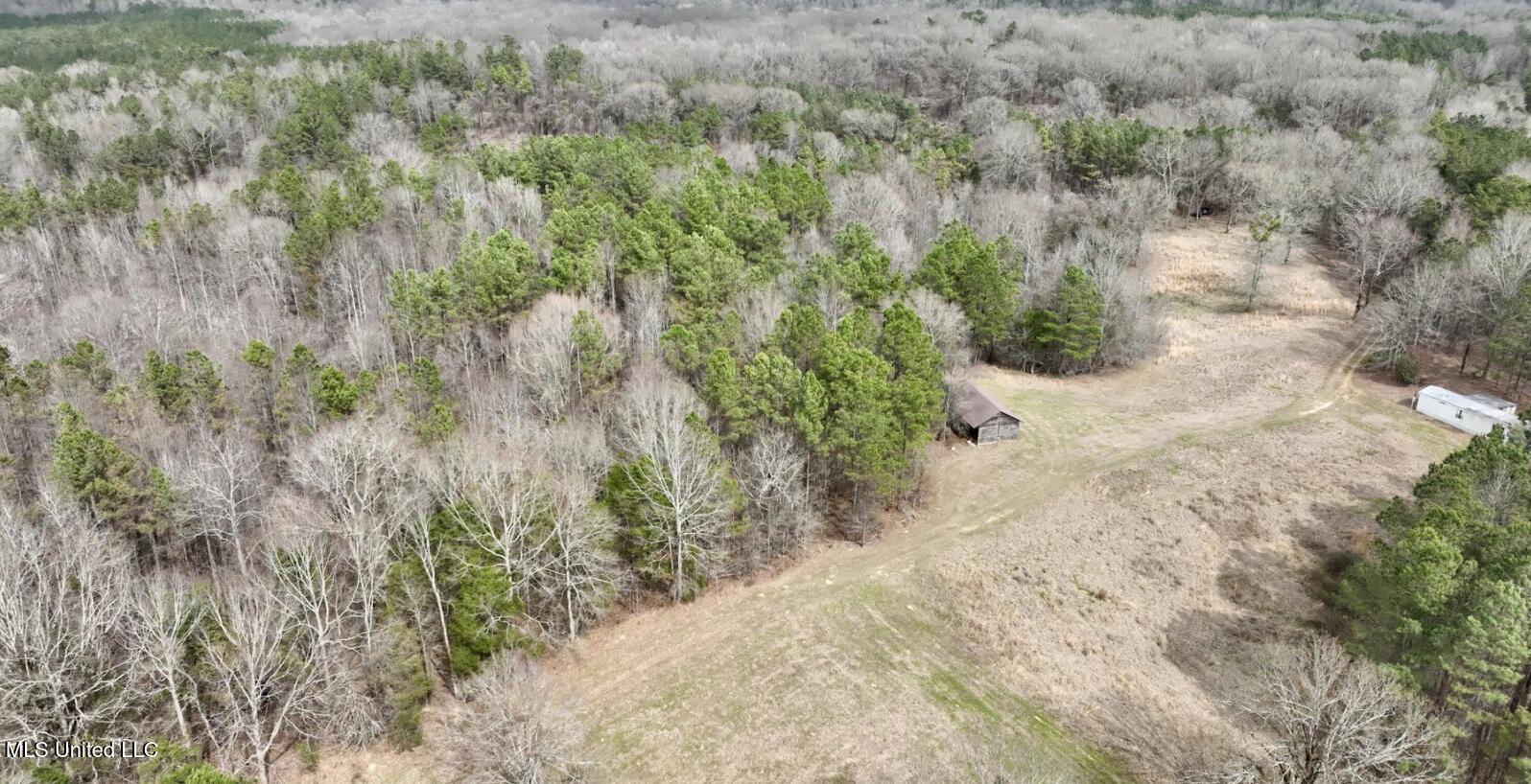 6510 Coxs Ferry Road, Bolton, Mississippi image 6